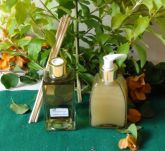 Aromatizador de Ambiente e Sabonete Líquido